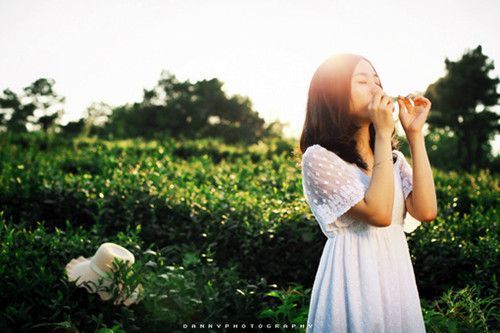 感情最稳定星座男女配对