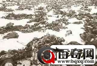 二战最大绞肉机战役斯大林格勒战役到底损失了多少苏军？