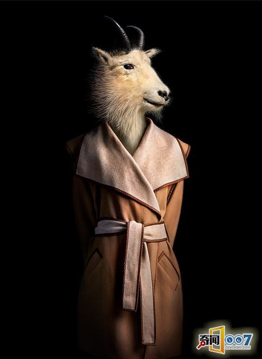 当动物穿上了时装，变成衣冠禽兽