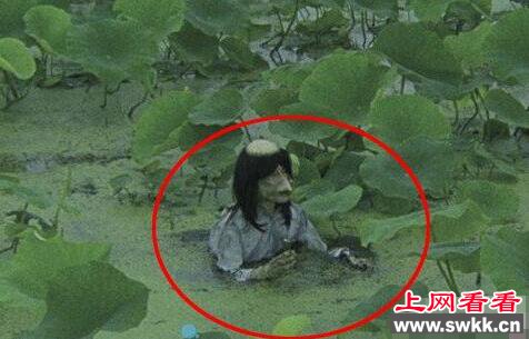 深度揭秘:传说中的水猴子是真的吗-