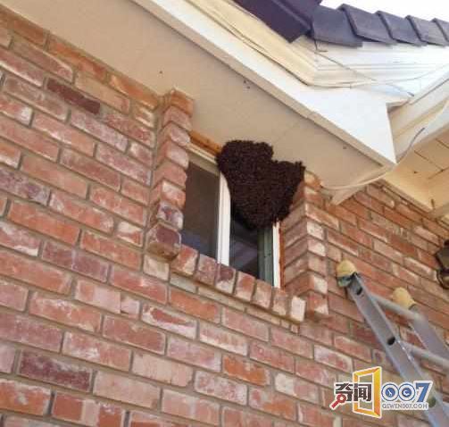 老汉睡觉听到异声，检查窗户一看惊呆了