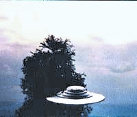 贵州神秘UFO事件 不明飞行物毁坏森林_0