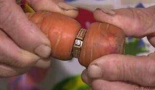 老人13年前丢失的戒指，竟然从一根胡萝卜身上“找”回来