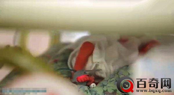 患癌母亲死亡后 医生为保胎儿让她的身体活着(组图)