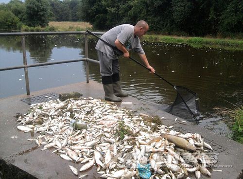 全球各地极端天气:在石头上煎熟蛋