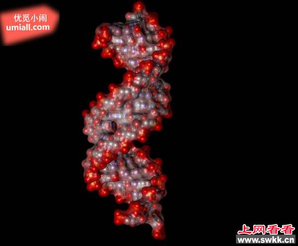 地球生命的起源7种理论