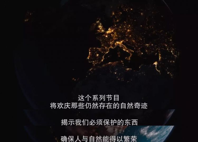 豆瓣9.8，网飞和BBC王牌合作！神仙组合啊！