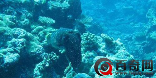 揭：汉匈战争史上出现的那些叛徒