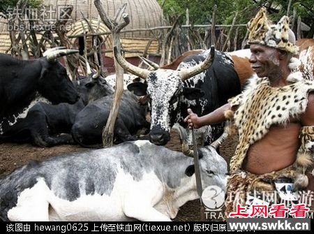 揭开祖鲁人是如何被称为“南非的象征”