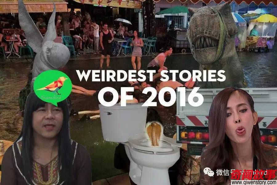 2016年终回顾-今年在泰国发生的最古怪事情