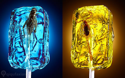 虫子棒棒糖 有胆你就试试