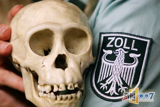 检查人员带汪星人查这个，引围观，成为一道风景