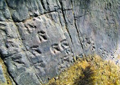 最古老恐爪龙足迹在河北赤城县现踪