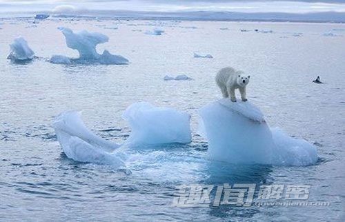 2013十大科学新闻：人类大脑计划