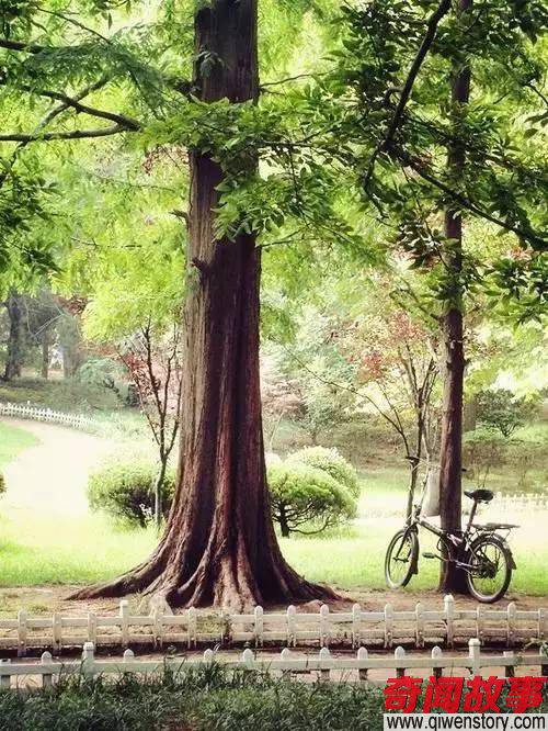 10个景美又当季的国内旅行地