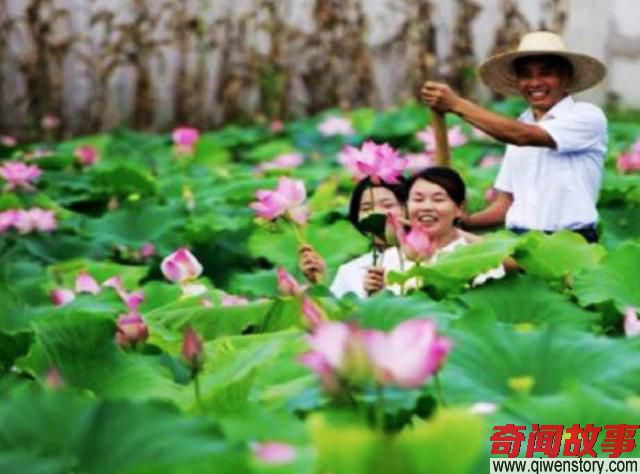 来海南不能不去 海南五大好玩不贵的地方