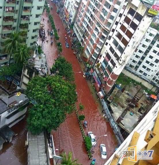 孟加拉首都宰牲节过后造成大街小巷血流成河