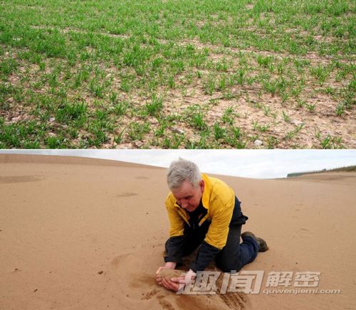 全球各地极端天气:在石头上煎熟蛋