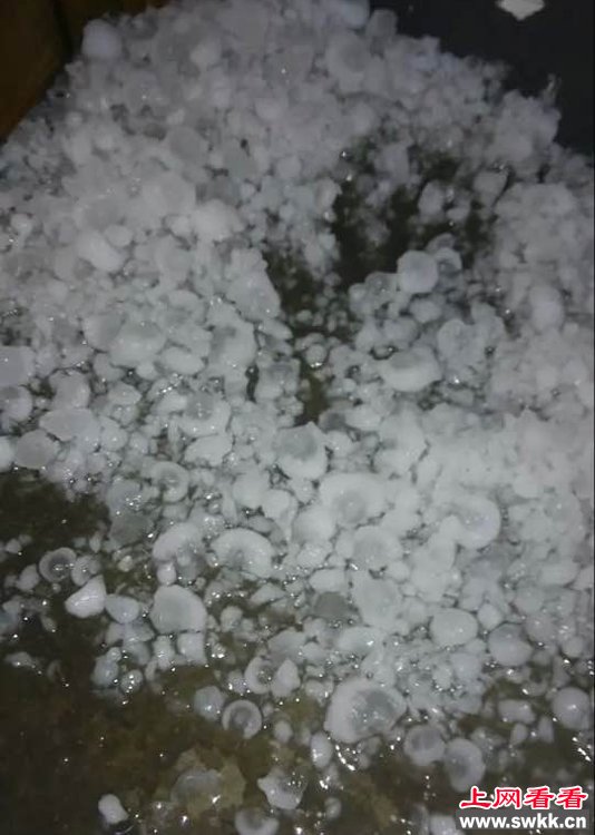 江苏冰雹大如鸡蛋 砸到人还得了！ 图_0