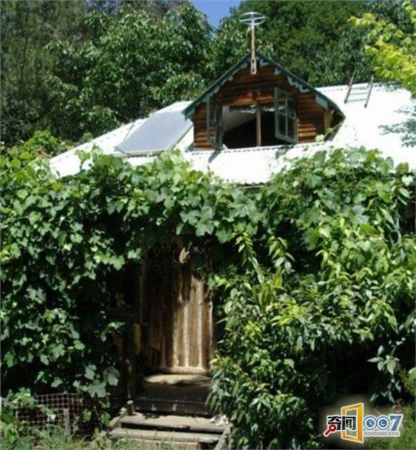 女子森林独居34年,花8年自建房,用牛粪糊墙