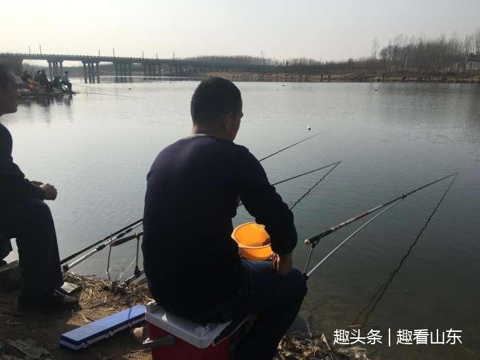 春江水暖钓鱼爱好者扎堆河岸 被调侃人比鱼多