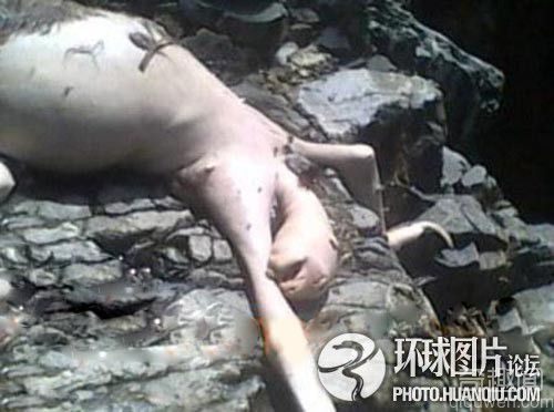 【探秘】盘点全球著名UFO事件大集合！