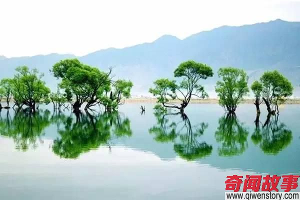 国内10个最生态小镇,第一名竟然是它!