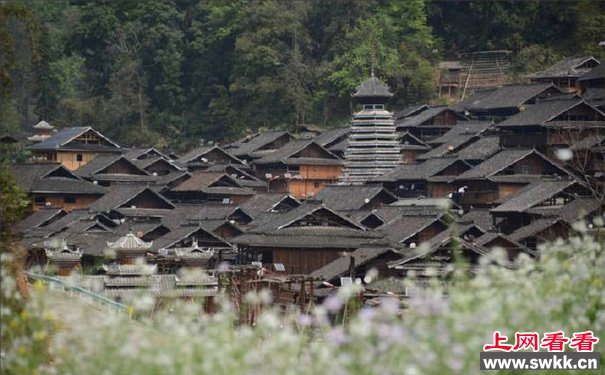 换花草之谜揭秘控制生男生女是真是假
