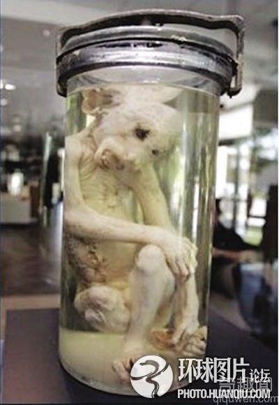 【探秘】盘点全球著名UFO事件大集合！