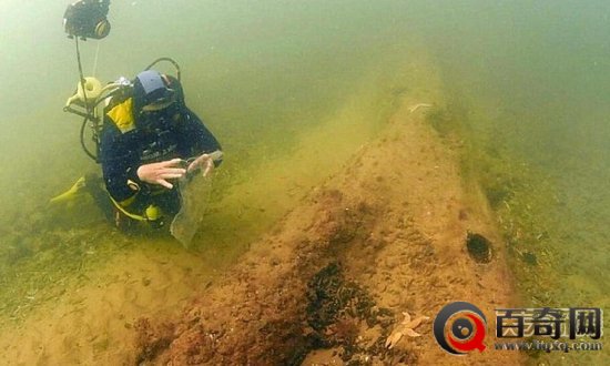 北海现1万年前远古树林 生于冰河世纪