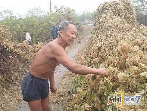 老汉睡觉听到异声，检查窗户一看惊呆了