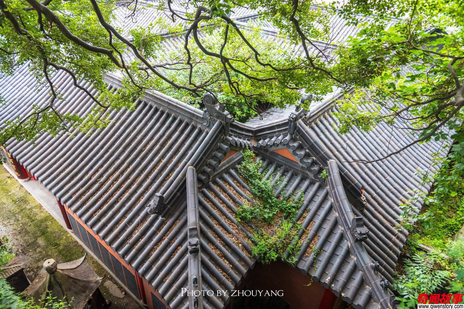 江苏最高峰原来是孙悟空的老家花果山，每年都吸引大量的江苏游客