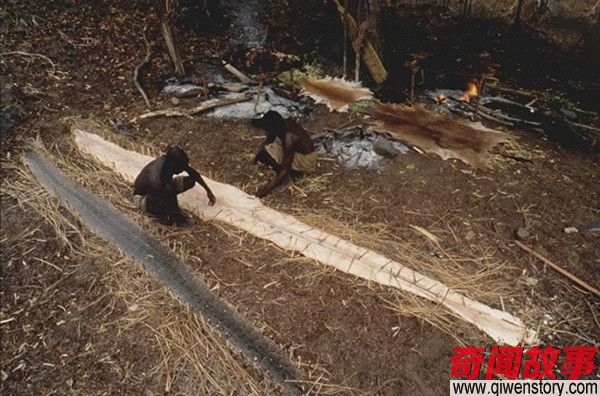 非洲原居民和蟒蛇同吃喝 看完感觉有点怕