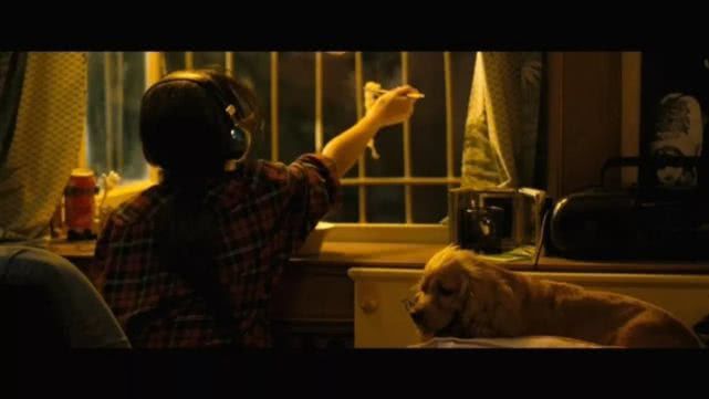 尘封五年终于上映！《狗十三》是一把刺痛中国家庭教育的匕首？