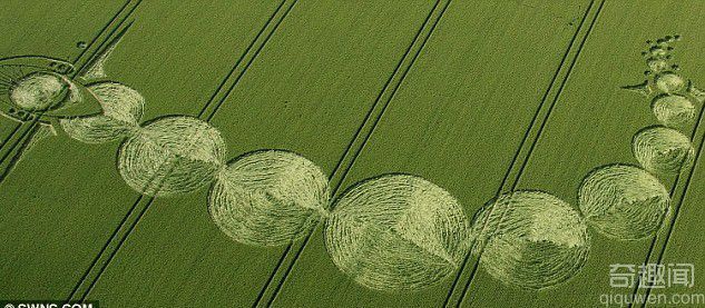 英国惊现麦田怪圈"金星凌日" 神秘图案