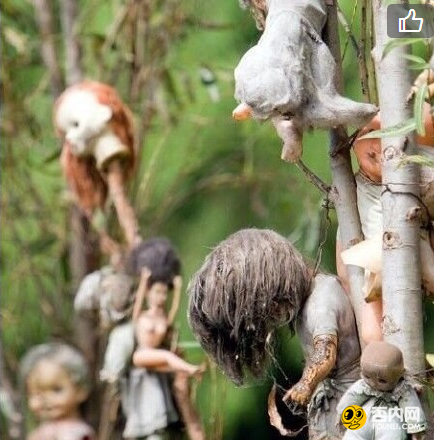 墨西哥娃娃岛丢弃的娃娃