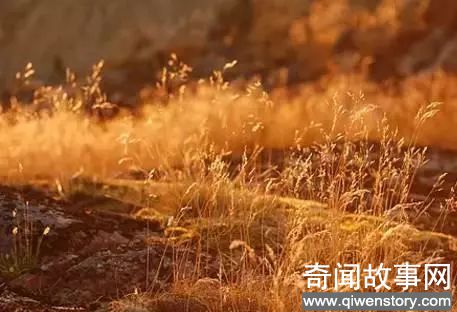 别总想着出国旅游，国内这29处人少景美的好地方