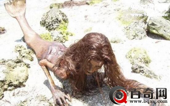 最真实的美人鱼图片，美人鱼真身恐怖吓人(嗜血怪物)