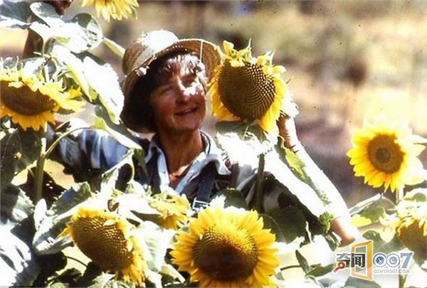 女子森林独居34年,花8年自建房,用牛粪糊墙