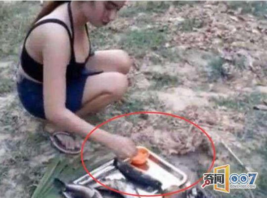 和女同事去山上野炊，口水直流