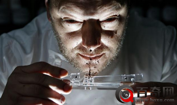 用鼻子吃巧克力 你听说过没