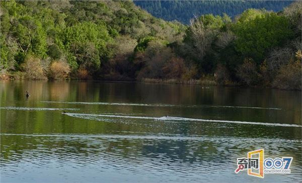 诡异!广东活捉“水鬼”真相惊人