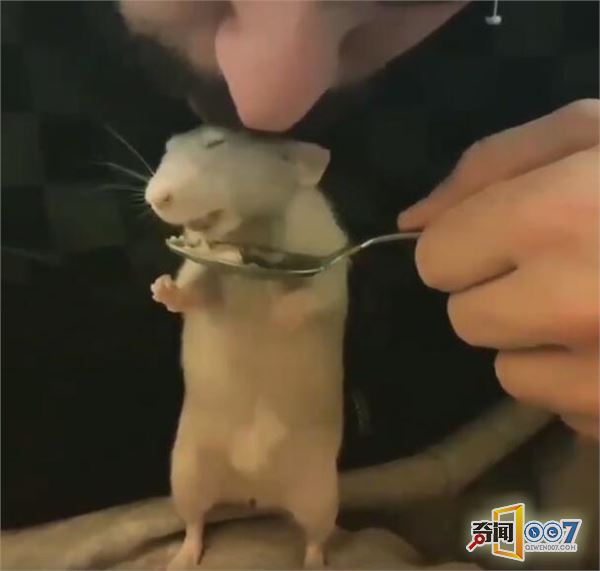 又一个主播走红网络,人气飙涨不减,不靠颜值只靠吃