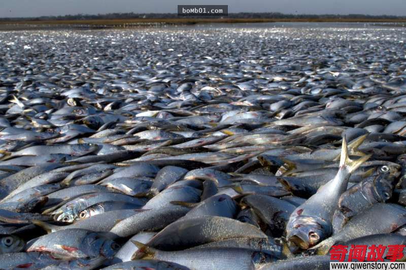 "《圣经》三大证据"证明今年就是世界末日,但科学研究马上秒打他们的脸…_0