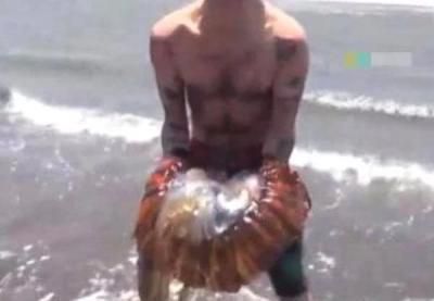 奇闻男子沙滩发现不明生物，将它捉住戴在头上，下一秒悲剧发生了