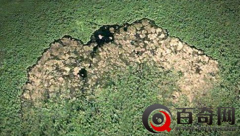 河狸为什么要筑坝 河狸分布在哪里生活