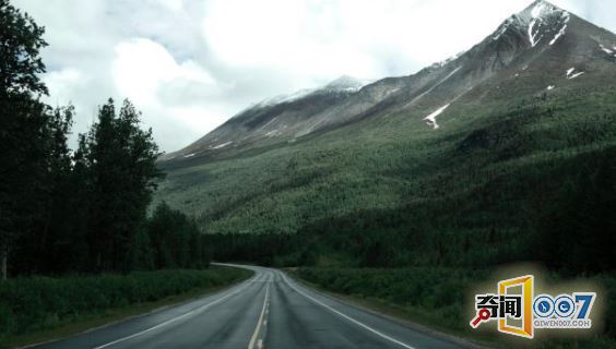 1000头驼鹿死于车祸，91万斤腐烂动物堵塞道路