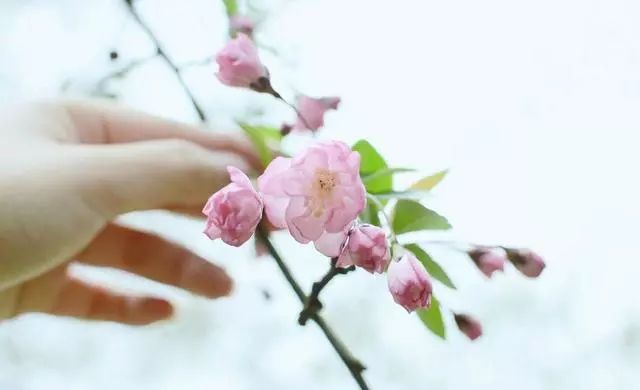 十一月，桃花运上上签，得一人心，白首不相离的4个星座