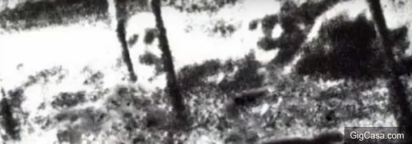 S.S. Watertown货轮的鬼魂