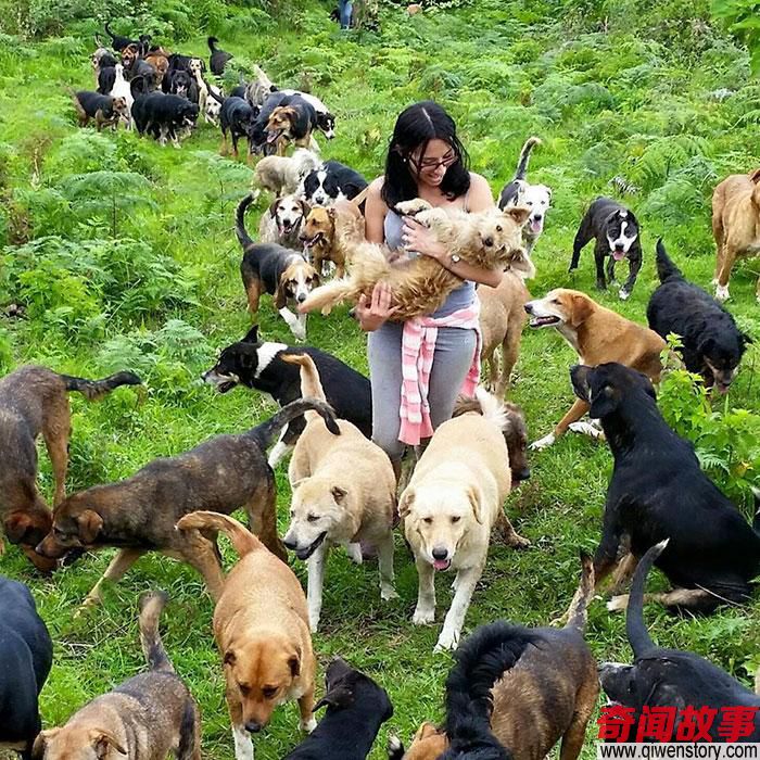 全世界8个已经被动物完全占领的小岛